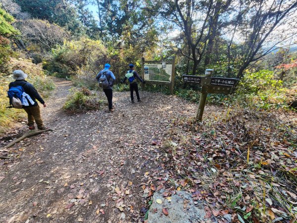 20251127陣馬山至高尾山2959099