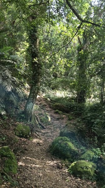 20251004 馬那邦山 - 珠湖 登山口2904928