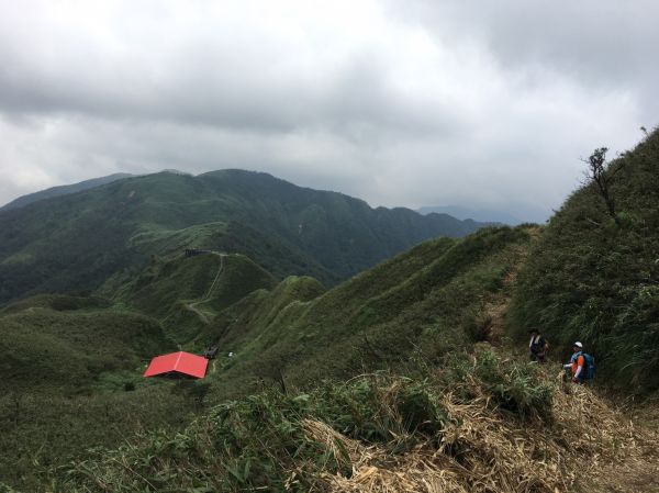 聖母山莊歩道 106.07.10(一)151792