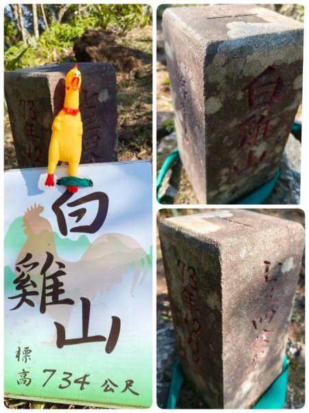 三峽白雞三山2963342