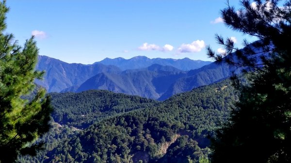 鹿林前山—鹿林山—麟趾山 O 繞1930901