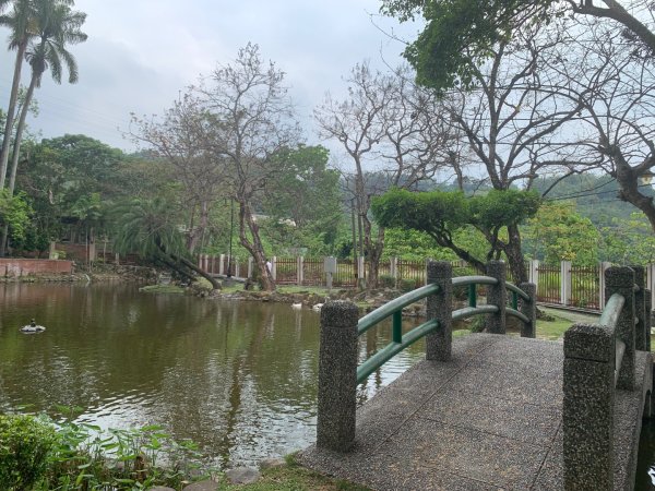 阿罩霧山、中心瓏步道2768907