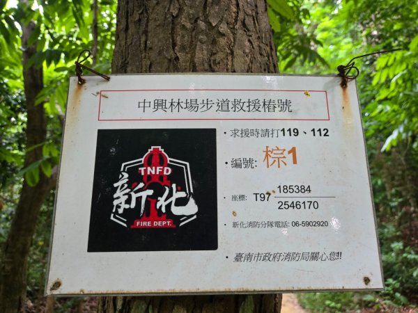 新化林場後山步道2776953