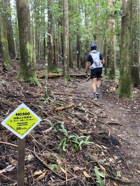 20250713-Ep.09油羅山步道-2025森遊竹縣皮皮獅探險隊2851886