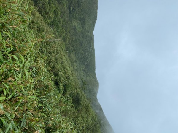 步道巡訪員 l 聖母登山步道109八月份巡訪1085487