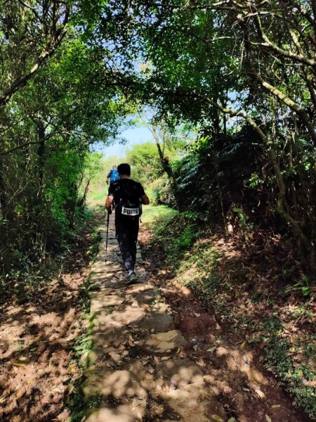 ［走遍陽明山］頂山石梯嶺步道+坪頂古圳2186457