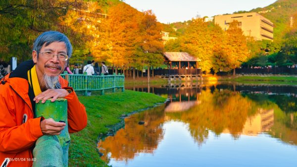 #花卉試驗中心 #永公路500巷 #平菁街42巷 #原住民公園 #士林官邸 1/42976590