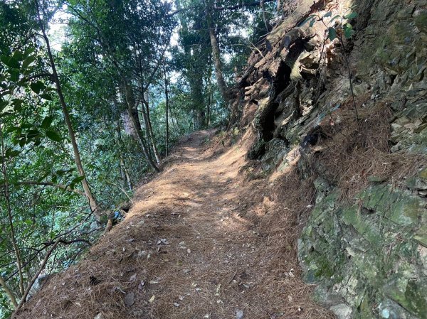 唐麻丹山-松鶴上三角點O型回松鶴2378400