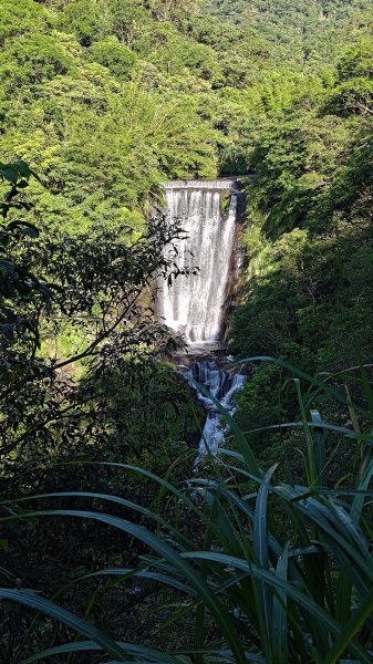 柴寮古道、中坑古道2814652