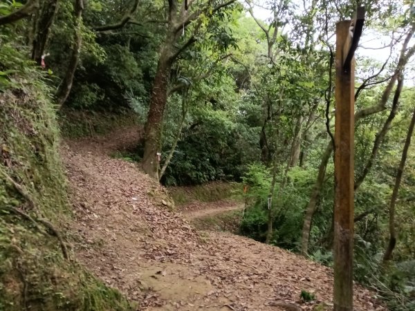 平溪區淡蘭山徑-平湖西步道+內平林山+東步道O型2769922