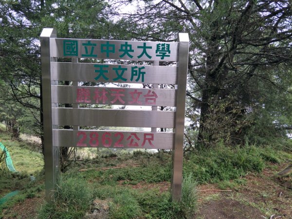 玉山登山囗-麟趾山-鹿林山-鹿林前山1429994