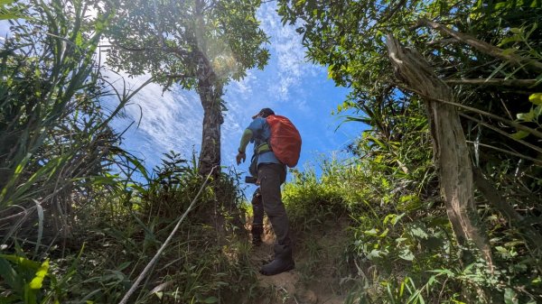 114.06.28內平林山-番子坑山-平湖森林遊樂區之O型2824221