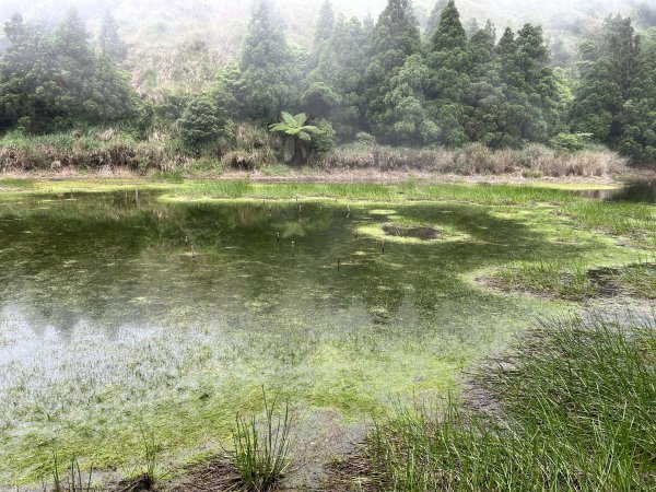 陽明山東西大縱走2786619