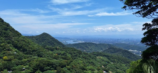 【2024觀音觀鷹尋寶任務】一日走完七條步道完成!2508400