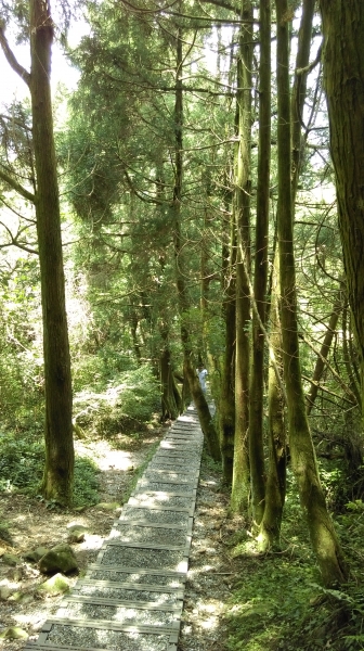 陽明山東段大縱走 105.08.2157495