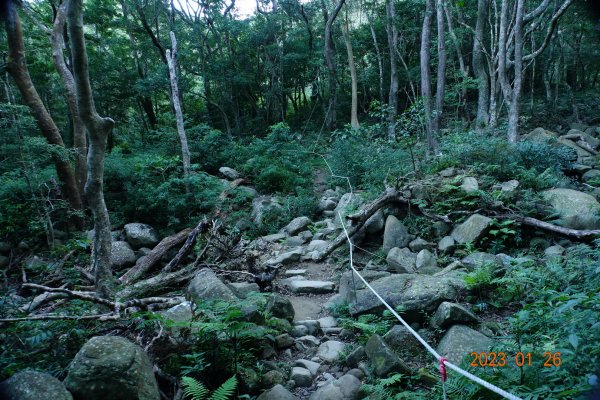 屏東 獅子鄉 里龍山(里隆山、里瀧山、鯉龍山)、下里龍山2018549