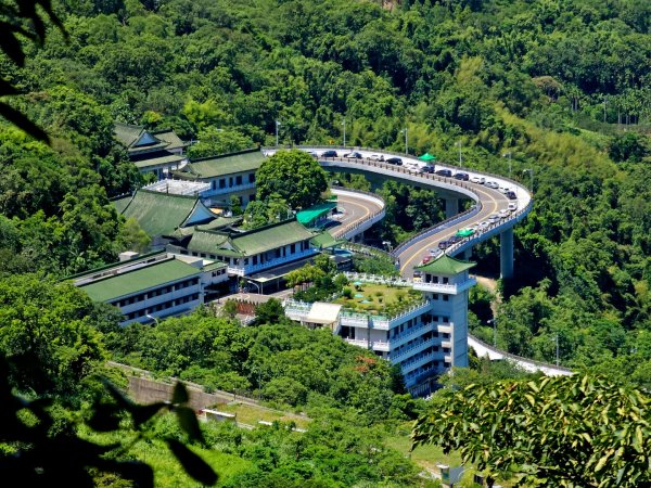 (天上山系)望月亭桐花-2025微笑山線大縱走尋寶集章任務2870351