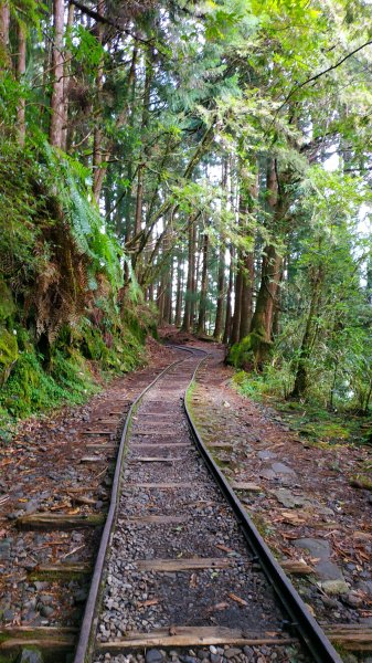 山林美境尋寶石特富野古道202009031090807