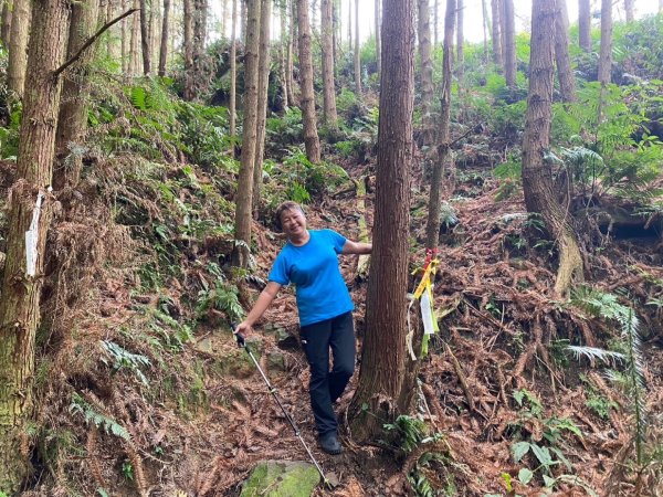 鵝公髻山（小百岳）鵝公髻山東北峰2449868