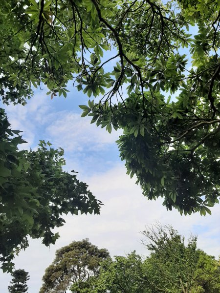 110 年春 登七星山1345720