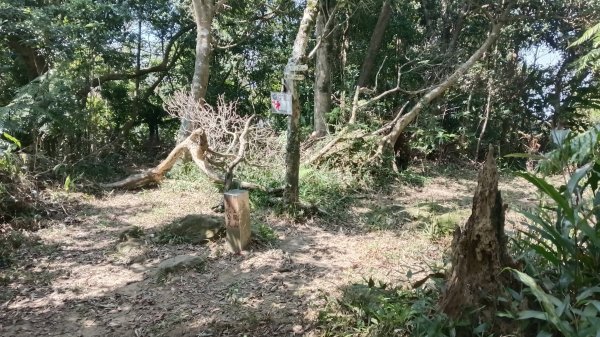 文山區草湳大榕樹-貓空圓山東北峰-貓空圓山-次格中繼站-貓空尖-二格山步道-草湳大榕樹3130179