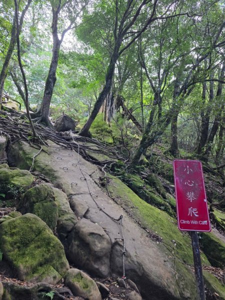 加里山（大坪登山口大O繞）2955464