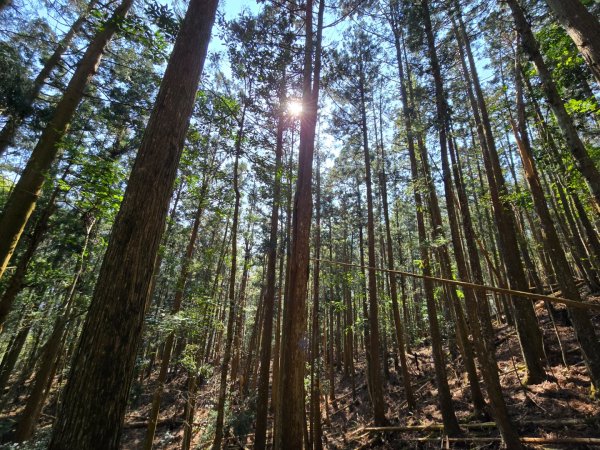 卓社大山〔武界栗栖溪登山口起登〕2748388