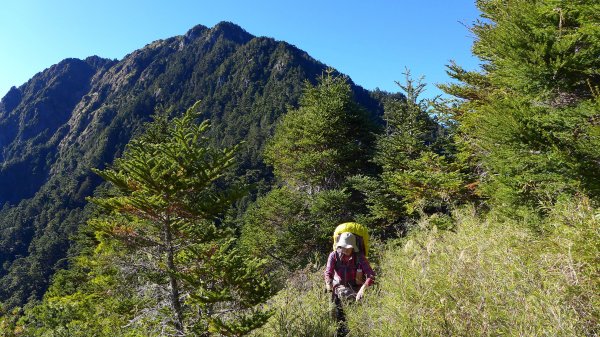 大好天氣的奇萊東稜489034