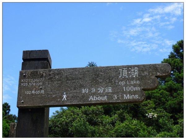 竹子湖/頂湖環狀步道986695