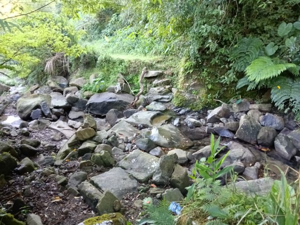 雙溪區內盤山坑古道+石硿子越嶺古道+盤山坑古道+過火坪古道O型2914352
