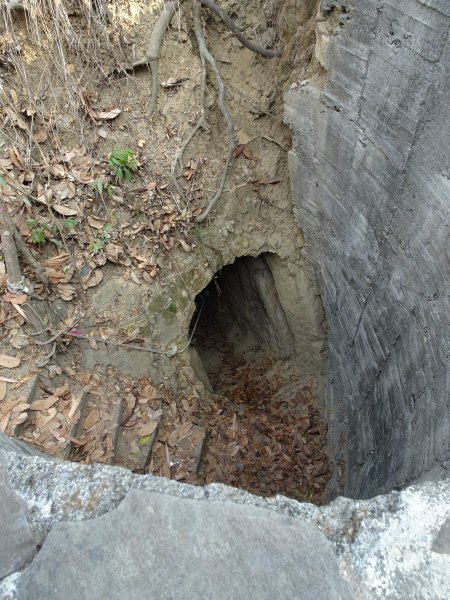 台灣小百岳第75座高雄大社-觀音山三角點565772