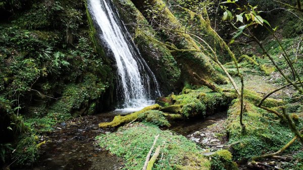 巴庫拉斯，七彩湖1339074