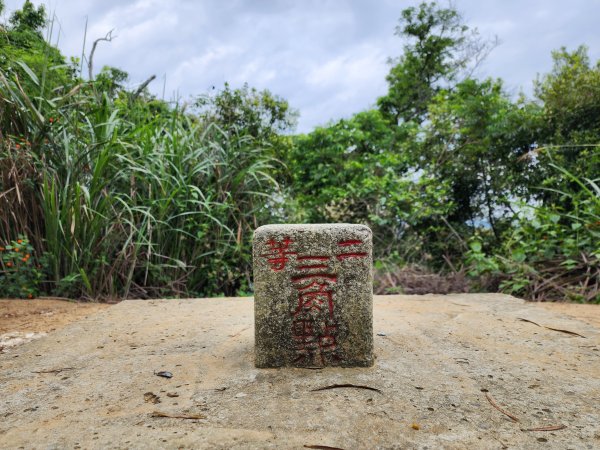 小百岳No.40⛰聚興山2409046