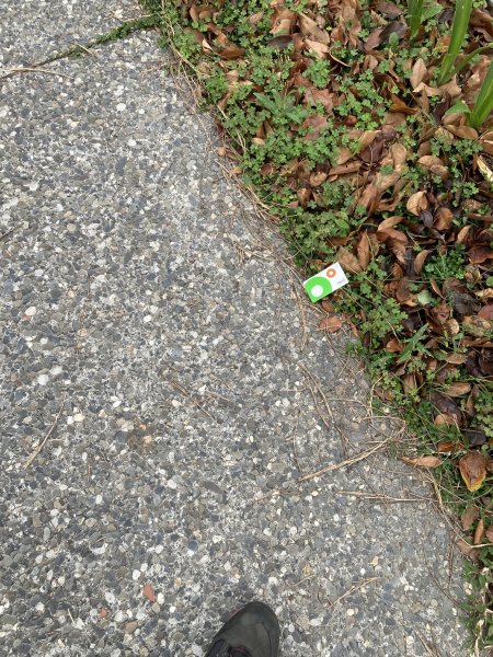 20260221高雄壽山+愛河灣3003344