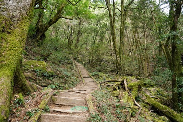 高雄 桃源 關山2408691