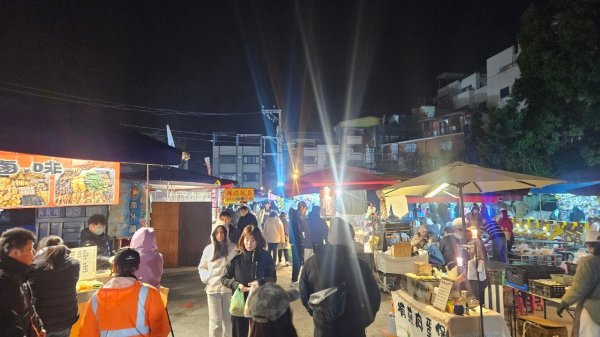 20250209橫沙笛鳶嘴醜肥大西稜O型2709365