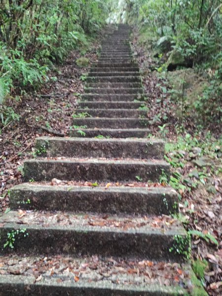 微笑山線：【二格山系】皇帝殿稜線段2955969