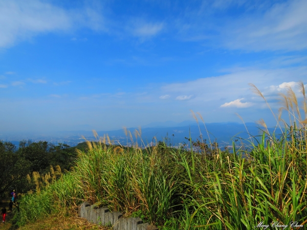 20150215~汐止大尖山13767