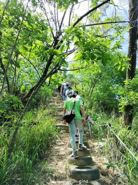 【高雄大社/岡山】郊山連峰稍有挑戰。 大社觀音山步道(立山x高崎山x長野山)2559928