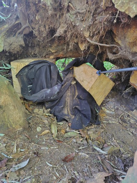 守關山南峰 守關山 守城大山2919168