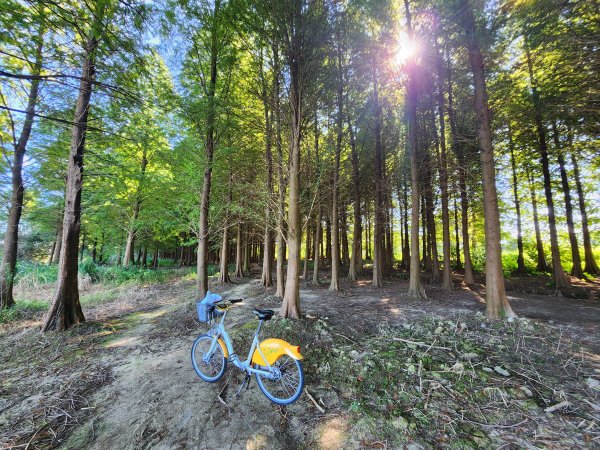 20241019 Ubike 湖口 ~ 大溪2671654