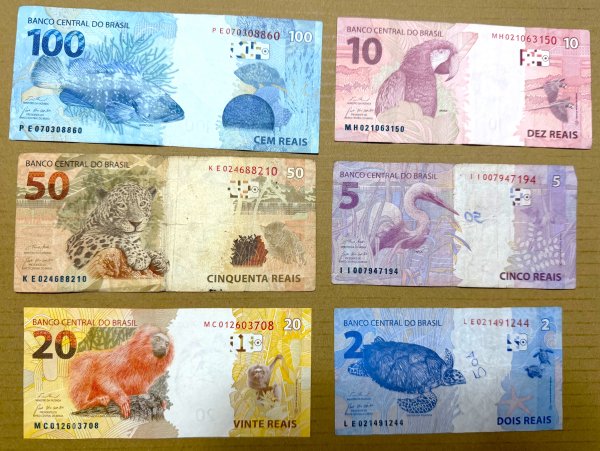 [紐約馬之行-73] 2025_1116 聖保羅藝術博物館2957126