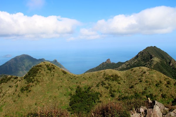 【金瓜石】漫山芒花怒放浪漫，礦山藍海奇景夢幻！2964024