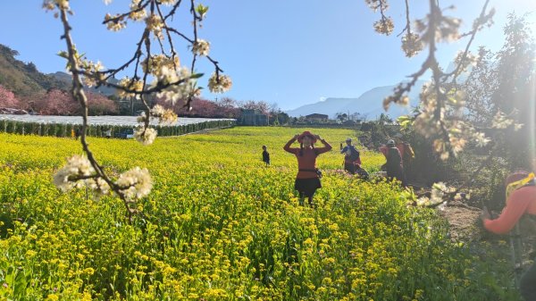 南投草坪頭2714129