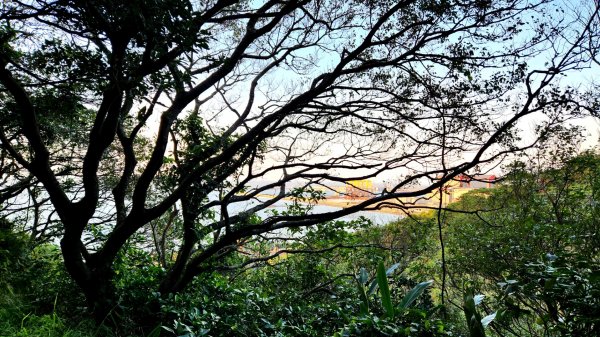 四獸山大縱走（虎山，豹山，獅山，象山），林口太平濱海步道，桃園龜山（貴山，龜山頭山），老坑溪步道1964734