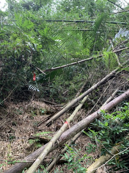 20251024台南光峰山2925647