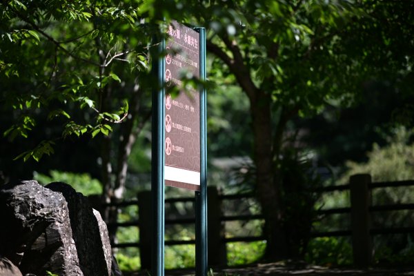 2025_0628 溪瀧步道2824978