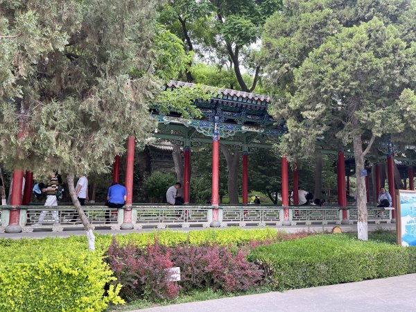 2024_0517 白塔山公園2509735