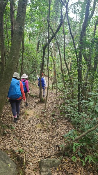 2025-01232淡蘭古道北二段(燦光寮古道到澳底)2696659