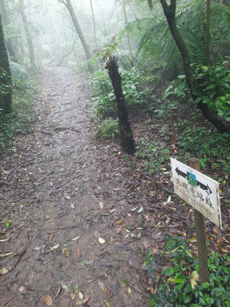 20230423 台北大縱走第四段逆行－風櫃嘴至捷運大湖公園2124964